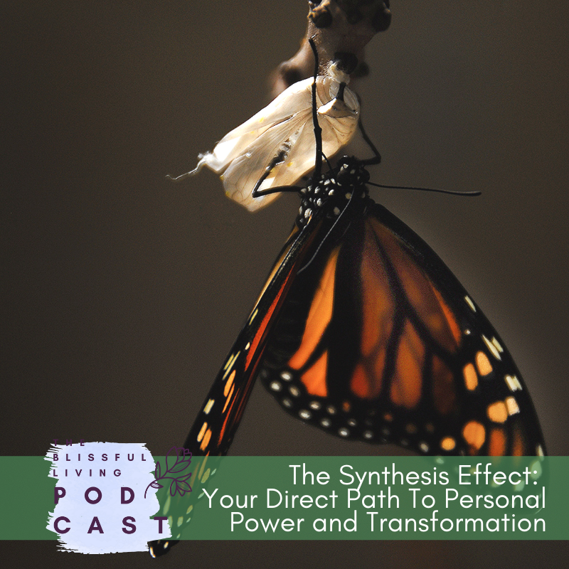 The Synthesis Effect: Your Direct Path To Personal Power and Transformation